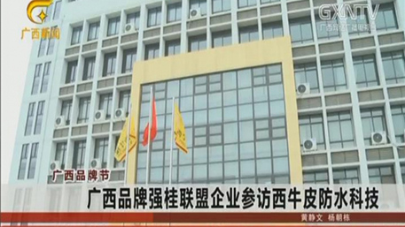 廣西品牌強桂聯(lián)盟企業(yè)參訪西牛皮
