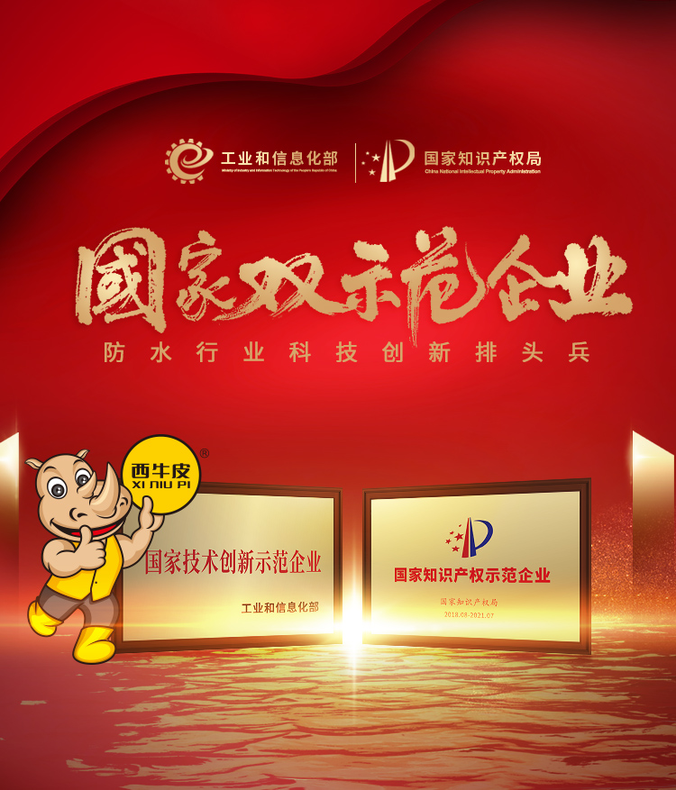國家雙示范企業(yè)